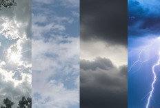 Ramalan Cuaca Kaltim dan IKN, 8 Januari 2026, Cek di Sini!