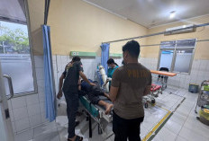 Hujan Deras Berteduh di Bawah Pohon, 3 Warga Bengalon Kutai Timur Tersambar Petir