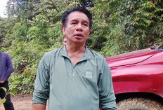 DPRD Kutai Barat Minta Penyitaan Total Kayu di Hutan Desa Besiq, Khawatir Aktivitas Belum Berhenti