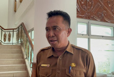Kabut Asap Makin Parah, Sekolah di Kutim Hentikan Tatap Muka dan Terapkan PJJ