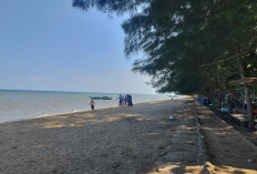 Enam Anak Tersengat Ubur-Ubur di Pantai PPU, Dua Dilarikan ke Rumah Sakit