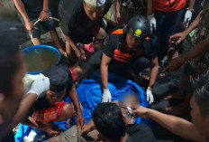 Anak Korban Serangan Buaya di Kutai Lama Ditemukan Meninggal Dunia