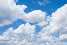 Ramalan Cuaca Kaltim dan IKN, 27 Maret 2026, Cek di Sini!