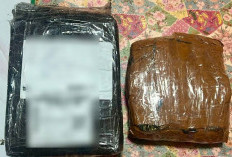 Pria di Balikpapan Diciduk, Polisi Temukan Ganja 1 Kilogram Siap Edar