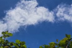 Ramalan Cuaca Kaltim dan IKN, 21 April 2026, Cek di Sini!