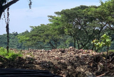 TPA Bukit Pinang Ditutup Permanen, Pemkot Samarinda Fokus Pemulihan Ekosistem
