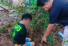 Beraksi di 4 Lokasi, Pelaku Jambret di Tanah Grogot Dibekuk Tim Jatanras