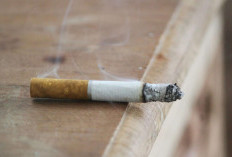 882 Konten Media Sosial Berbau Promosi Produk Rokok Dilaporkan Sepanjang 2026