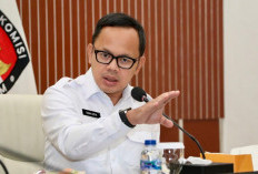 Wamendagri Bima Arya Minta Kepala Daerah Wajib Bangun Kemandirian Fiskal Melalui Inovasi