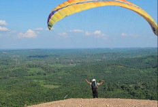 Event Paralayang Internasional di Sultan Hill Paser akan Diramaikan Atlet dari 5 Negara 