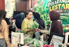 Berau Expo 2026 Jadi Sarana Edukasi Pangan Sehat, Dinas Pangan Bagikan Paket Gratis