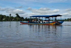 Dishub Kutai Barat Optimalkan Pengawasan Kapal Penyeberangan di Sungai Mahakam