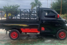 Curi Buah Sawit Milik Perusahaan, 2 Pria di Samboja Kukar Ditangkap Polisi