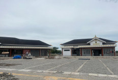 Serapan APBD 2025 PPU Tak Capai Target, Pemkab Berharap Transfer Dana Kurang Salur dari Pusat 