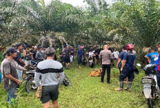 Diduga Terseret Arus saat Hujan Deras, Warga Kuaro Ditemukan Tak Bernyawa di Pinggir Sungai 
