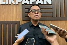Ruang Hijau Balikpapan Makin Menyusut, DPRD Nilai RTH Masih Sekadar Pelengkap Pembangunan