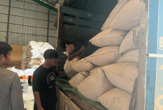 Muara Wahau Hasilkan 4 Ton Jagung Pipil, Siap Disalurkan ke Bulog Samarinda