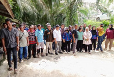 Keluhan Petani Plasma Menggunung, Kepala Kampung Jerang Melayu Sidak Perkebunan PT MKB