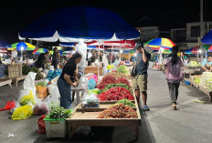 70–80 Persen Pasokan Bergantung Luar Daerah, Harga Pangan Kaltim Sensitif Jelang Lebaran
