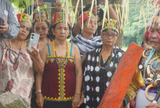 Masyarakat Dayak Wehea Tinggal Menunggu Kepastian Pengakuan dari Negara 