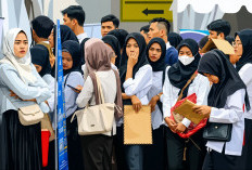 494 Orang Melamar Jadi Guru Pengganti di Bontang, Merebutkan 65 Formasi