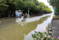 Gelombang Laut Tinggi, BPBD Bontang Ingatkan Potensi Banjir Rob
