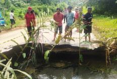 Longsor di Gosi Siluq Ngurai, Jalan Nasional Ditutup Total, Arus Lalin Dialihkan