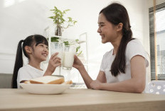 Susu Tak Boleh Gantikan Makanan Utama Anak, Ahli Gizi Ingatkan Risiko Kekurangan Gizi