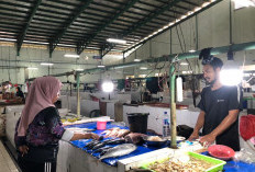 Libur Lebaran Iduladha 1447 Hijriah, Penjualan Ikan di Tenggarong Anjlok 70 Persen
