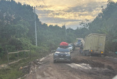 Jalan Nasional Kukar-Kubar Makin Parah, Rudy Minta Pemerintah Pusat Bertindak 