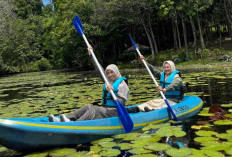 Kunjungan Wisata Tahura Lati Petangis di Kabupaten Paser Tembus 5.496 Orang Sepanjang Maret 2026