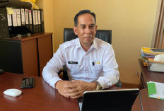 PPU Tawarkan Proyek Perhotelan dan Peternakan, Bidik Investor di Ajang MIF 2026