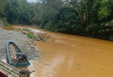 Tambang Emas Ilegal Diduga Beroperasi di Hulu Sungai Benturung dan Prayan