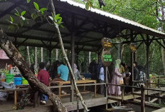 Pasar Pakot Lati Tuo: Sensasi Belanja Tradisional di Tengah Eksotis Mangrove Paser