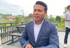  Deforestasi Kaltim Harus Dicegah, Syafruddin: Alam tidak Boleh Dikorbankan demi Keuntungan Jangka Pendek 