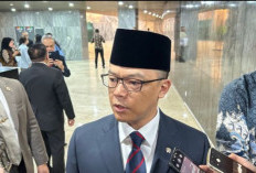 9 WNI yang Diculik Israel Sudah Bebas, Menlu RI Sugiono: Dipulangkan Lewat Turki