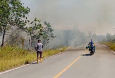 Kemenkes Ingatkan Dampak Kemarau, Kasus ISPA 2026 Capai 15,6 Juta Jiwa