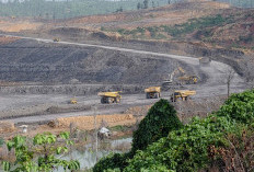 DPRD Kaltim Soroti Pemangkasan RKAB Tambang 2026, Waspadai Dampak ke Daerah