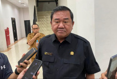 Harga Beras 25 Kg di Mahulu Tembus Rp1 Juta, DPRD Soroti Jalur Distribusi yang Terputus