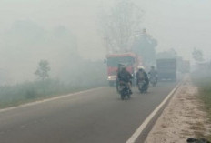 Kabut Asap Semakin Parah, Kasus ISPA di Mahulu Capai 653 Orang