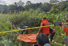 7 Potongan Tubuh Korban Mutilasi di Gunung Pelandu Samarinda Ditemukan, Polisi Lakukan Identifikasi
