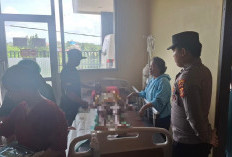 Bocah 10 Tahun Diterkam Buaya di Bengalon, Nenek Alami Luka saat Berusaha Menolong