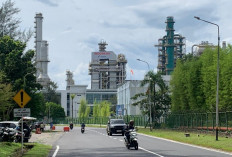 Investasi Balikpapan 2025 Tembus Rp27,25 Triliun, Industri Kimia dan Migas Masih Dominan