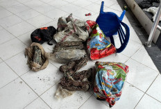 Pencurian Kabel PJU Berulang di Kubar, Empat Tersangka Akhirnya Ditahan Polisi