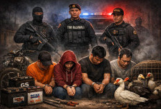  Tim Rajawali Ringkus Pasutri dan Dua Komplotan Pencuri Bebek, Mentok juga Aki Mobil