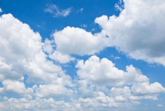 Ramalan Cuaca Kaltim dan IKN, 14 April 2026, Cek di Sini!