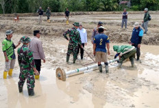 Dukung Ketahanan Pangan, Pemkab Mahulu Terus Optimalkan Percetakan Sawah