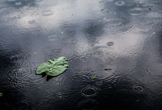 Ramalan Cuaca Kaltim dan IKN, 5 Maret 2026, Cek di Sini!