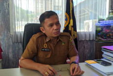 Dokumen KIR Diduga Dipalsukan, Dishub Samarinda Bongkar Modus Solar Subsidi