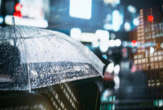 Ramalan Cuaca Kaltim dan IKN, 11 Maret 2026, Cek di Sini!